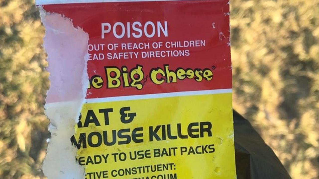 Elderly man charged over alleged attempt to bait dog with rat poison at