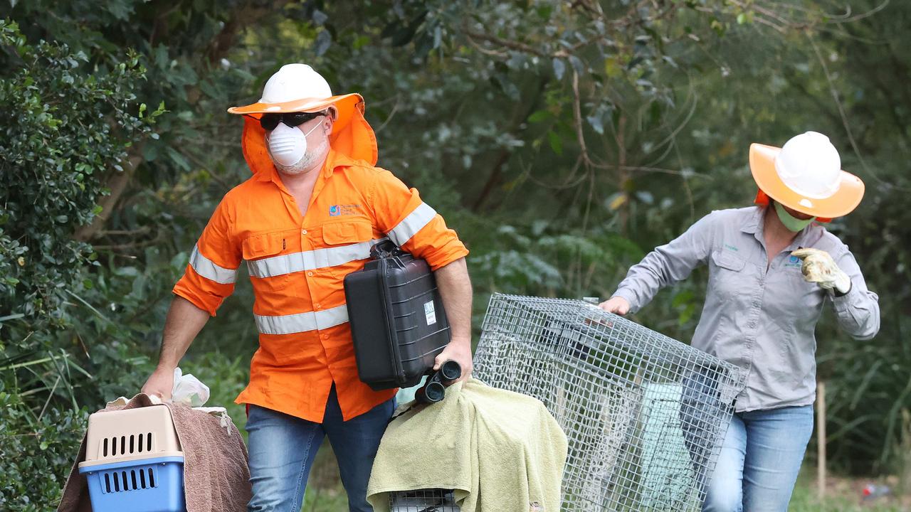 Bird catchers will now remove aggressive birds and relocate them to prevent further incidents. Picture: Liam Kidston