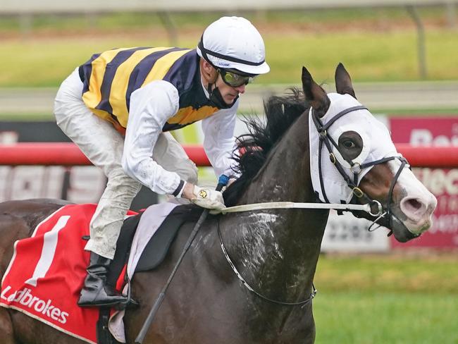 I'm Thunderstruck (NZ) ridden by Mark Zahra wins the Max Blakiston / Ian Rees Class 1 Handicap at Sale Racecourse on June 09, 2021 in Sale, Australia. (Scott Barbour/Racing Photos via Getty Images)