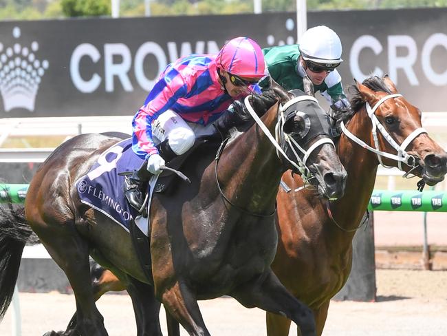 Thedoctoroflove ridden by Daniel Moor wins the National Jockeys Trust Trophy at Flemington Racecourse on January 11, 2025 in Flemington, Australia. (Photo by Brett Holburt/Racing Photos via Getty Images)