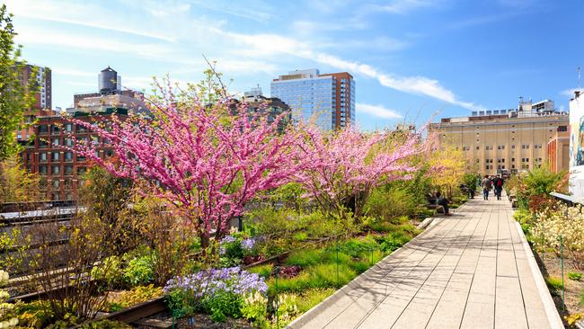 The High Line in New York City.