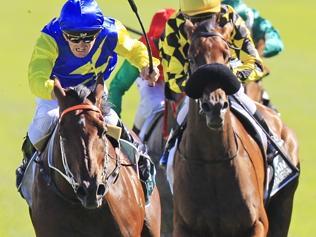 Saturday races at Royal Randwick