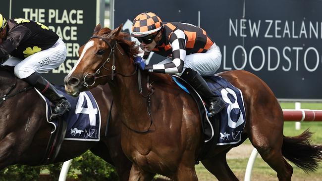 The extra week could be a positive for leading Magic Millions Guineas contender Snitzanova. Picture: Jeremy Ng/Getty Images