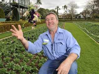 Council gardener Frieldhelm Karl Grams throws some pansies in the air at Laurel Bank park. . Picture: Dave Noonan