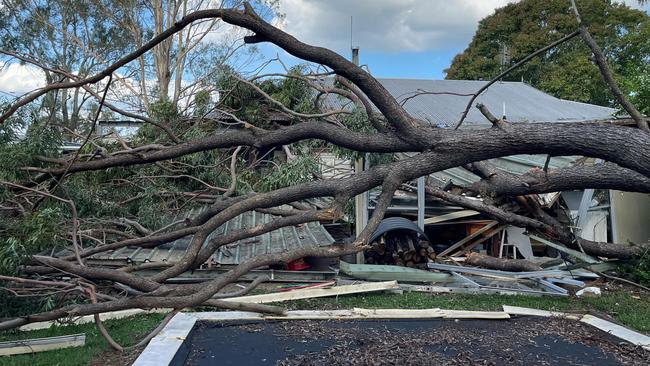 Kingaroy local Shaye Routte said his neighbour's house was destroyed by a fallen tree just this week. Picture: Supplied.