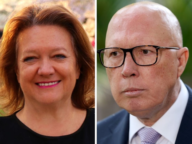 Peter Dutton has confirmed his office requested a private plane from Australia's richest person, Gina Rinehart.