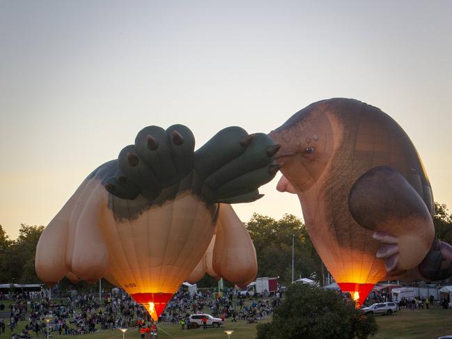 Patricia Piccinini’s Skywhales, gearing up to take flight over Elder Park on Saturday morning. Picture Emma Brasier.