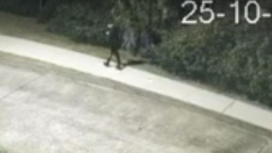 CCTV footage shows Paul Thijssen at Vaucluse in the hours following the death of Lilie James.