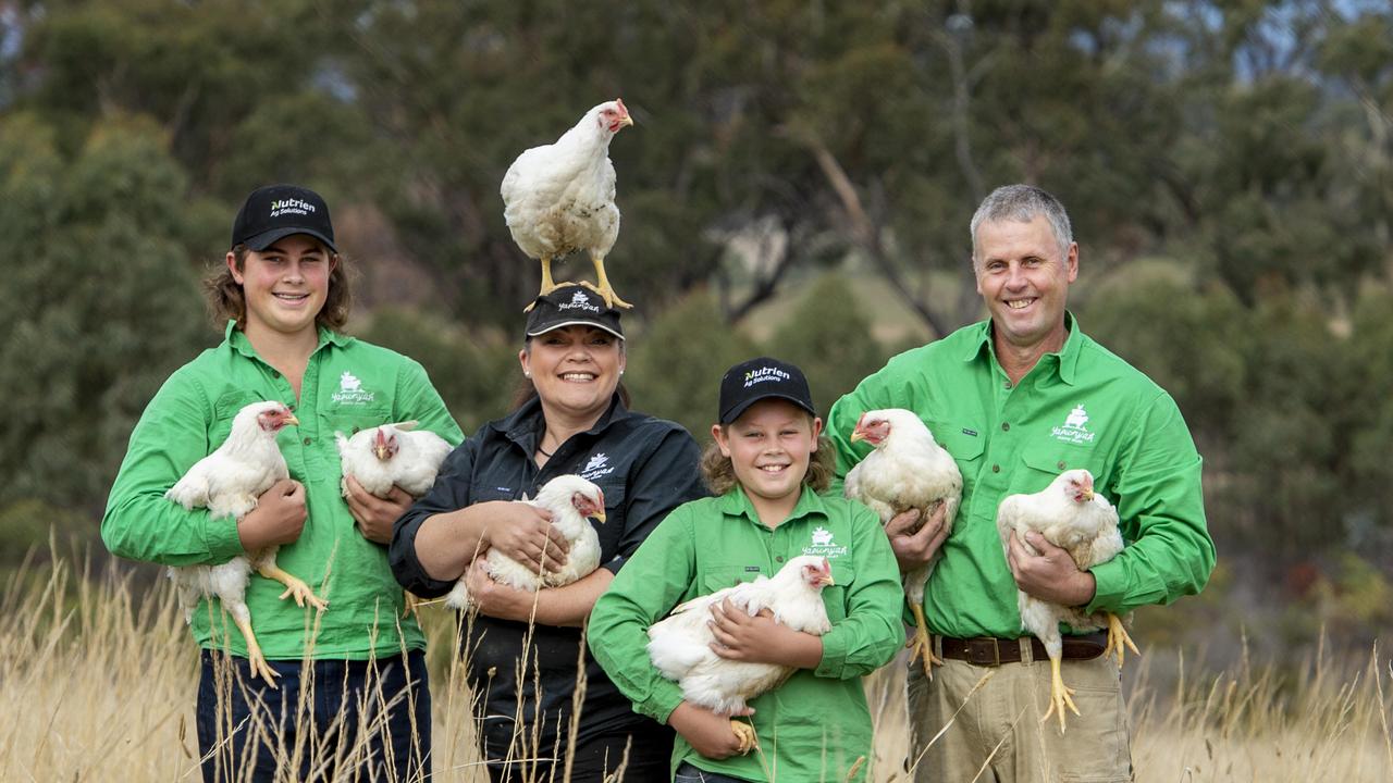 McClaren family’s pastured meat chicken business takes flight