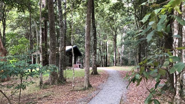 Faust Family Park, Numinbah Valley. Picture: Amanda Robbemond