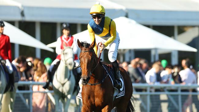 Jason Collett returns to scale with Stefi Magnetica after the mare won the Doncaster Mile at Randwick on Saturday. Photo: Jeremy Ng/Getty Images.