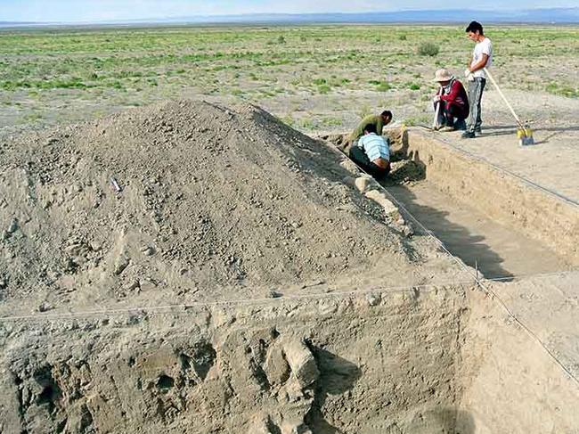 Scratching the surface ... Excavations underway at the Mongol fortress site.