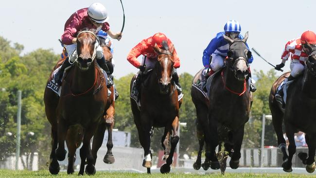 Madotti (left) wins on Magic Millions day at the Gold Coast in January. Picture: Grant Peters, Trackside Photography