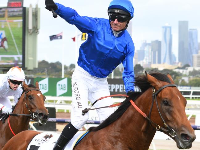 Godolphin’s Bivouac wins Melbourne’s premier sprint, the Newmarket Handicap, in March.