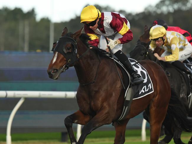 SYDNEY, AUSTRALIA - MAY 31: Andrew Adkins riding Touristic win Race 8 KIA Lord Mayors Cup during Sydney Racing at Rosehill Gardens on May 31, 2025 in Sydney, Australia. (Photo by Jeremy Ng/Getty Images)