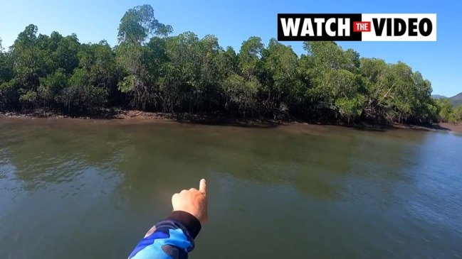 Fishos get barra feed from river dolphins