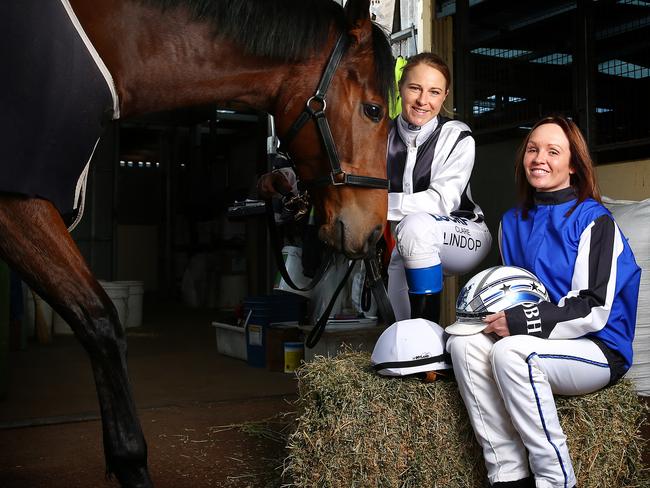 Jockey Clare Lindop and harness racing driver Dani Hill with horse Go Indy Go. Photo: Sarah Reed.