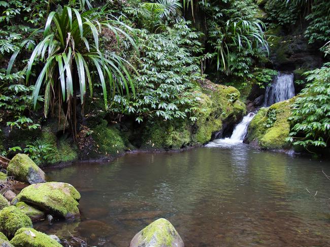 15/47Explore coastal hinterlands of LamingtonHit one of the trails of Lamington National Park. Morans Falls is a stunner – then soak up the views with a pre-booked picnic hamper from O’Reilly’s Mountain Cafe.