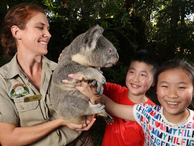 Kayla Ousley Head of Education, holding a koala with Jonathan Yang, 10, and Ellyn Li, 10 of Shanghai, China, Lone Pine Koala Sanctuary, Fig Tree Pocket. Photographer: Liam Kidston