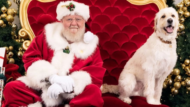 The company also runs pet photo with Santa sessions. Picture: Scene to Believe.