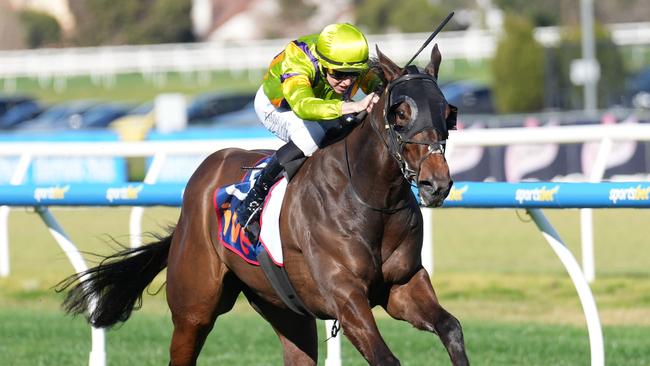 Damian Lane guides Band Of Brothers to a comfortable win in the Group 3 Vain Stakes at Caulfield. Picture: Scott Barbour/Racing Photos via Getty Images