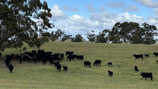 The Price family are selling their Binnum farms.