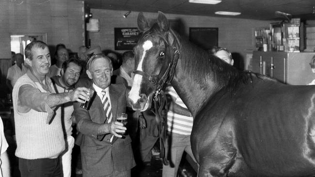 Racehorse Lord Reims in at the Morphett Arms hotel after winning record third successive Adelaide Cup at Morphettville in 1989.