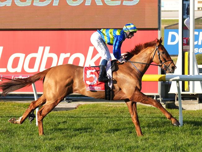 Half Yours ridden by Ethan Brown wins the Ladbrokes Odds Surge BM64 Handicap at Cranbourne Racecourse on August 01, 2024 in Cranbourne, Australia. (Photo by Scott Barbour/Racing Photos)