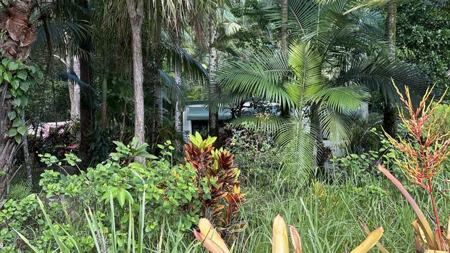 Finch Hatton Gorge Cabins and River Rock Cafe along Gorge Rd in Finch Hatton has shut to tourists. This is all you can see from the roadside. Picture: Heidi Petith