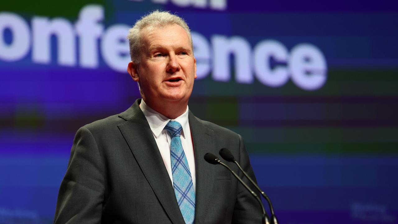 Workplace Minister Tony Burke. Picture: NCA Tertius Pickard