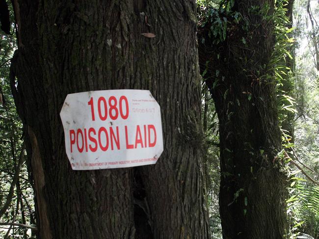 A sign attached to a tree warning 1080 poison has been laid in the area.