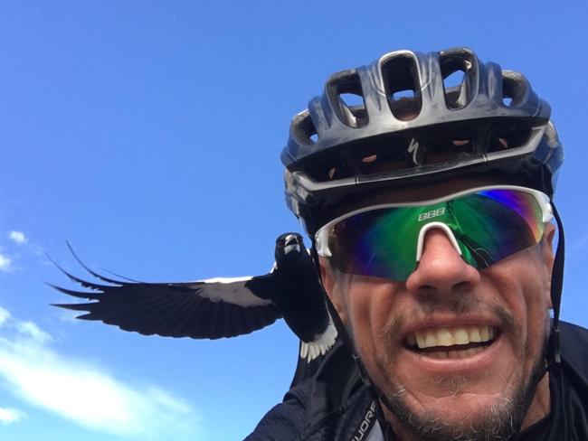 Clint Burfitt attacked by a magpie on Just Road , Aldinga . Picture : Supplied .