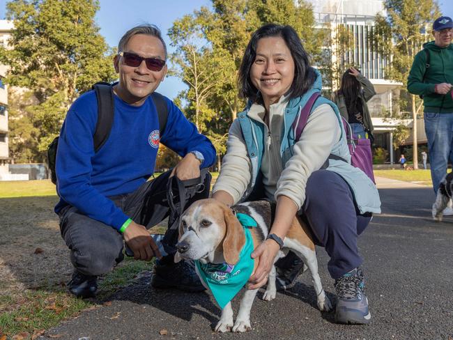 RSPCA SA's Million Paws Walk in Adelaide on May 25, 2025. Picture: Ben Clark