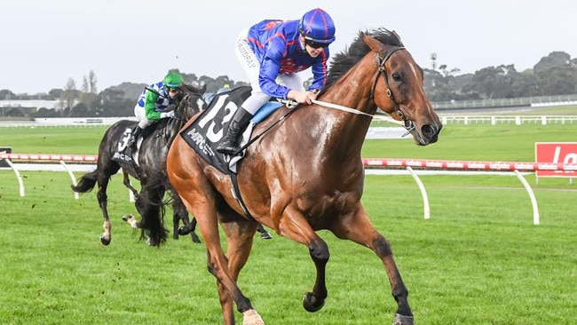 Globe was thought of as a spring prospect in 2023 but injuries have hampered his career. Picture: Racing Photos