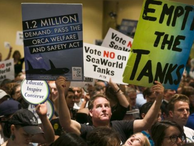 Protesters at SeaWorld after a documentary exposed the conditions of the orcas held captive.