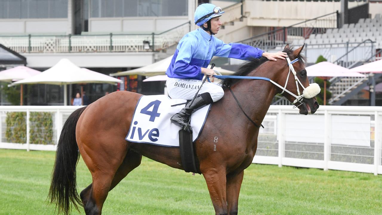 ive > Merson Cooper Stakes