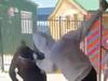 Uncovered: SA town’s shocking teen ‘fight club’ — and the videos