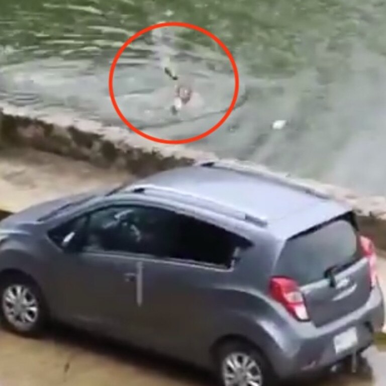 The terrifying moment a man was seen trying to escape a giant crocodile in a Mexican lagoon. Picture: Jam Press