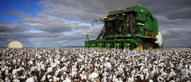 White way: Cotton harvest at TIAA-CREF’s Cobran Station at Hay in NSW.