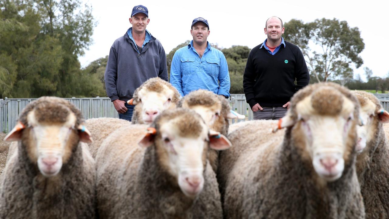 Team effort: Simon Coutts (left) with Hooke brothers Karl (centre) and Will at Willera Merinos, where enterprises includewool, and prime lambs. Picture: Andy Rogers