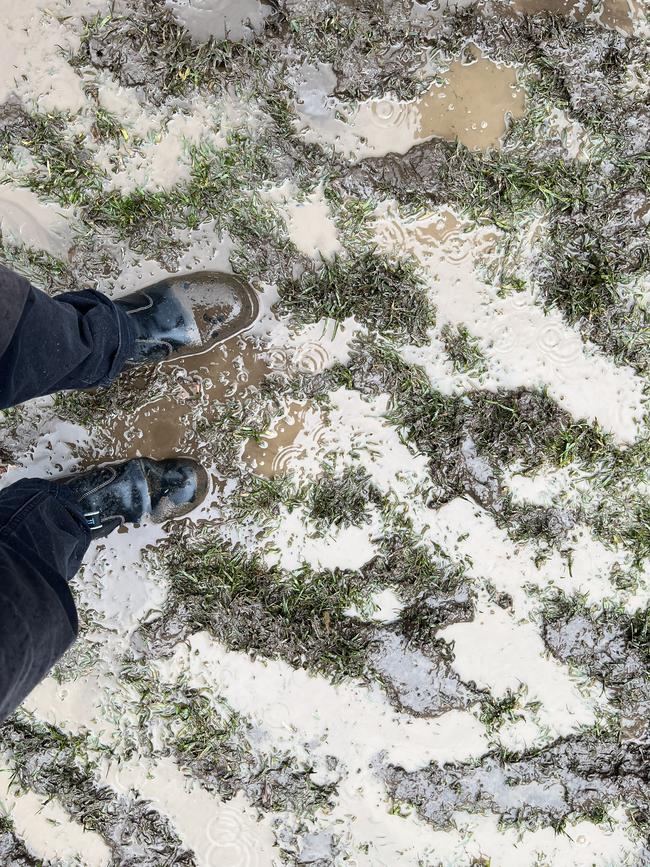 Mud at Harvest Rock Festival. Picture: Nathan Davies