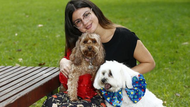 Kimberley Di Paola with Indie and Cha-Cha getting ready for the Dogs Day out festival on Chippendale Green. Picture: John Appleyard