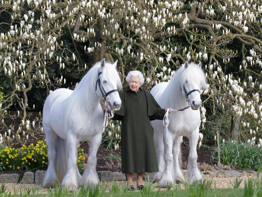 Queen Elizabeth II standing with her Fell ponies, Bybeck Nightingale (R) and Bybeck Katie (L), to mark the occasion of her 96th birthday. Picture: AFP