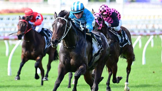 Talented Matt Dunn-trained youngster Fukubana will be unleashed as a short-priced favourite at Doomben on Saturday. Picture: Grant Peters/Trackside Photography