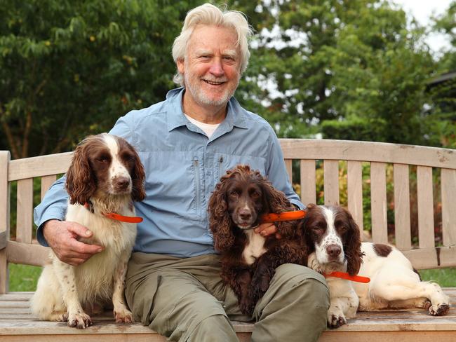 Renowned dog trainer Steve Austin with pooches Becky, Emma and Tommy. The dogs are part of the “working line English springer spaniel” and “working line English cocker spaniel”, which are different to the more common pet or show dog variety of the breed. Picture: David Swift