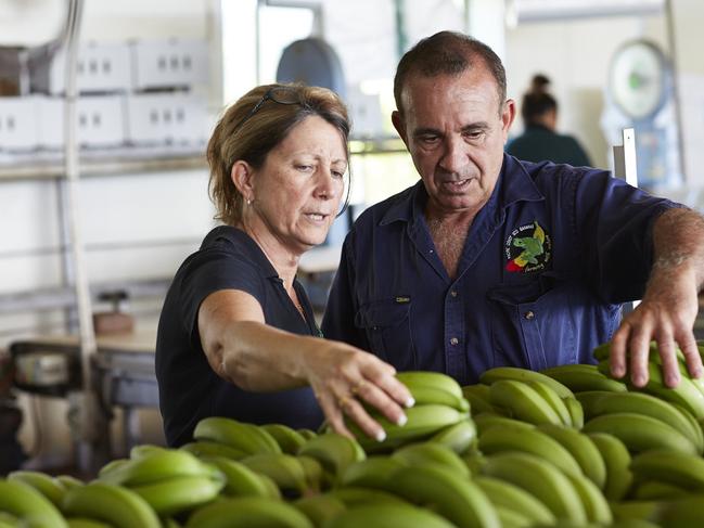 Ecoganic banana farmers Frank and Dianne Sciacca, Innisfail, Queensland.