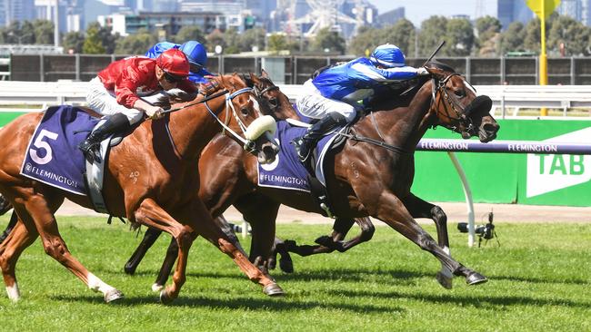 Ruthless Dame has drawn the outside in the Golden Eagle. Picture: Racing Photos via Getty Images