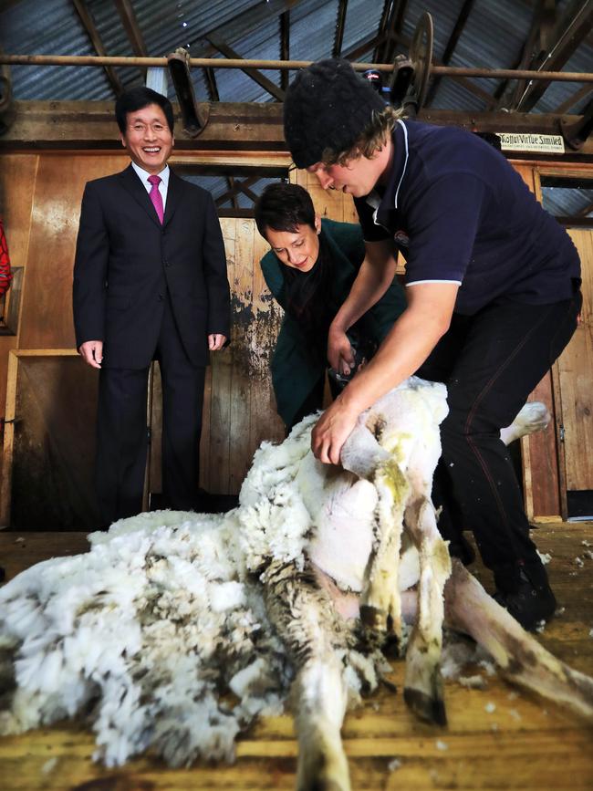 Qingnan Wen and then-Victorian Minister Agriculture Jaala Pulford watch shearer Matt Bensch during a meeting of Australia's biggest wool textile companies at Lal Lal Estate in 2017. Picture: Aaron Francis