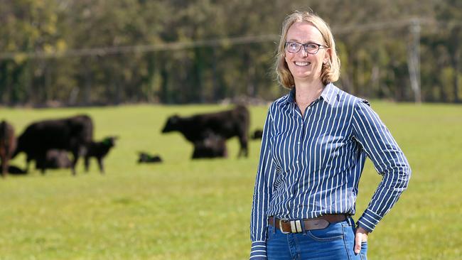 For SHINE: Georgina Gubbins, sheep and cattle farmer near Heywood, LambEx chairman. Shine nominee for everything she has done for the industry.Picture: ANDY ROGERS