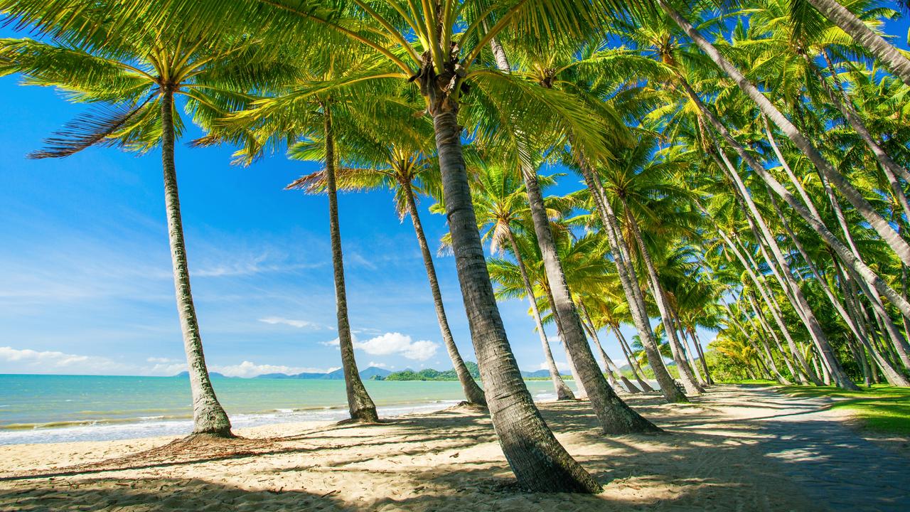 The tiny stingers lurk in the waters of some of Australia’s most picturesque and popular tourist destinations. Picture: iStock